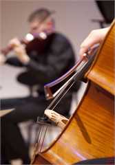 String Matinee - Die Musikum Stringfonie stellt sich vor